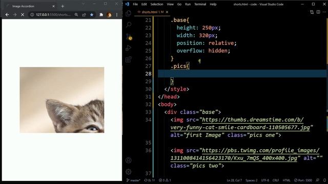 Image Accordion with Animations || CSS + HTML only || Web Designing смотреть онлайн