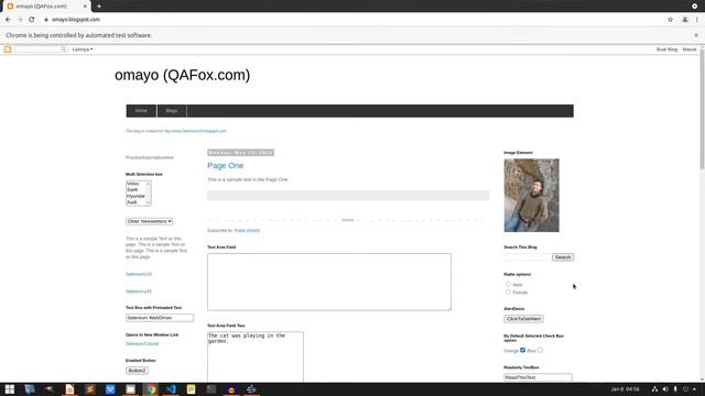 Bikin Bot Web Automation Python Selenium | Memililh Checkbox & Radio Button Dengan Method Click смотреть онлайн