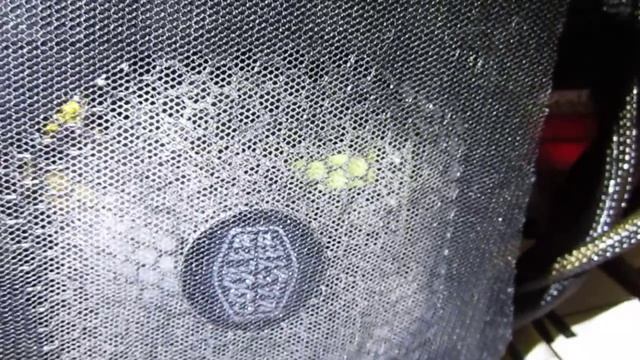 NiceHash - ЕСТЬ ЛИ АЛЬТЕРНАТИВА?! На чём сейчас лучше майнить!? Долгожданный обзор моей фермы!