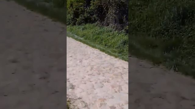 Гаги для смеха ? смотреть онлайн