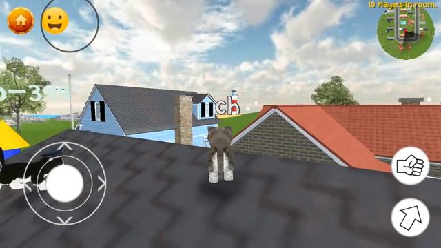 Котик Семи Обновление Встреча на Кольцевой Друга Гизмо Знакомство с Гномом смотреть онлайн