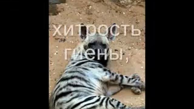 Притча о женщине MusVid net смотреть онлайн