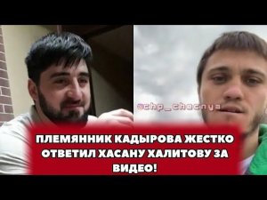 ❗️Жесткий ответ Племянника Кадырова Хасану Халитову!