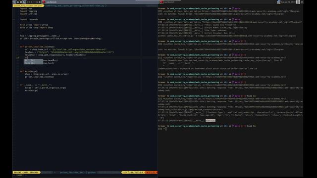 Web Security Academy | Web Cache Poisoning | 12 - Cache Key Injection смотреть онлайн