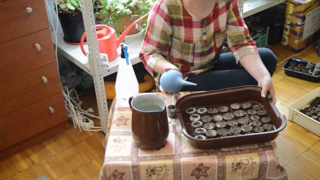 Торфяные таблетки: секреты и нюансы смотреть онлайн