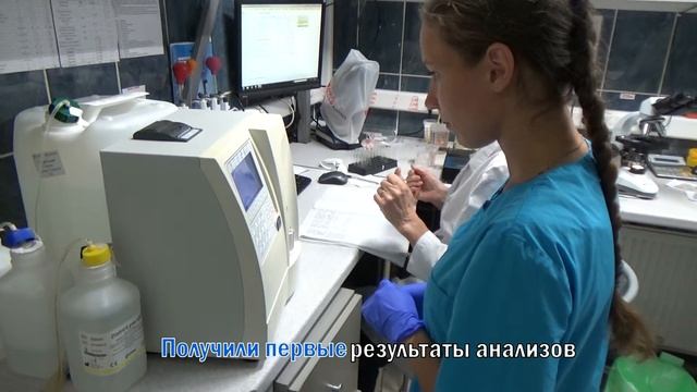 Летняя школа ассистента смотреть онлайн