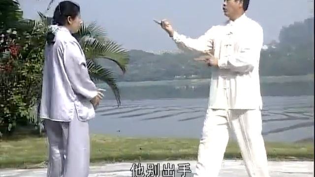 Тайцзицюань стиля Сунь. Применения 1 часть. смотреть онлайн