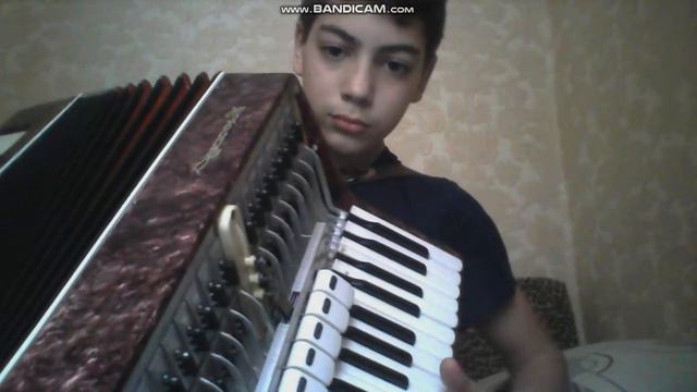 частушки на аккордеоне смотреть онлайн