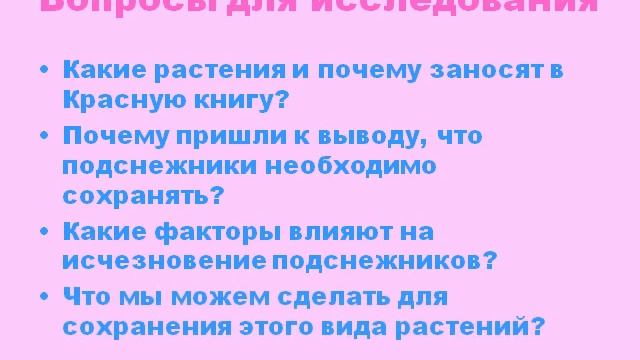 Презентация Почему подснежники занесли в Красную книгу растений смотреть онлайн
