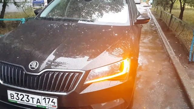 Skoda Superb B8 смотреть онлайн