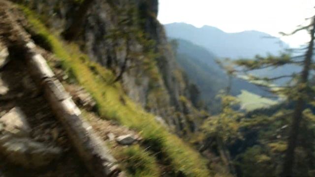 Кулинарный Эксперт