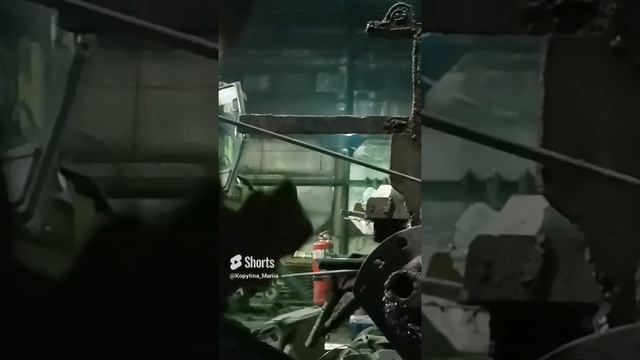 1 ноября 2023 г.
