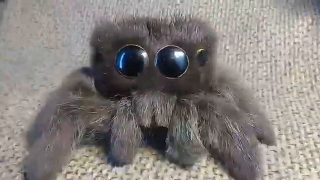 Привет от паучка Лукаса смотреть онлайн