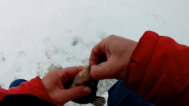 Отлично погуляли по морю и половили пассивного окуня.05.01 смотреть онлайн
