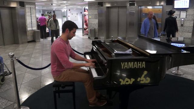 Harry Potter- Hedwig's Theme (Jarrod Radnich's arrangement) смотреть онлайн