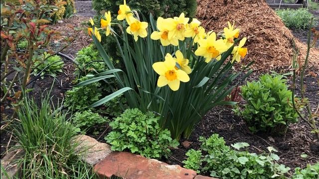 Строительный Дневник