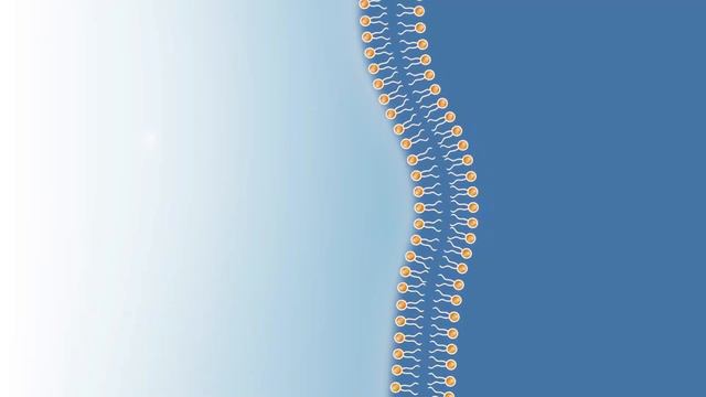 Что такое Липосомальная технология?