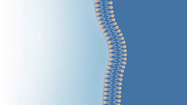 Что такое Липосомальная технология?