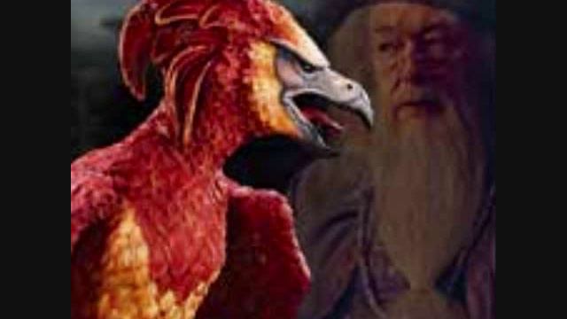 Fawkes The Phoenix Theme On Flute, From Chamber Of Secrets