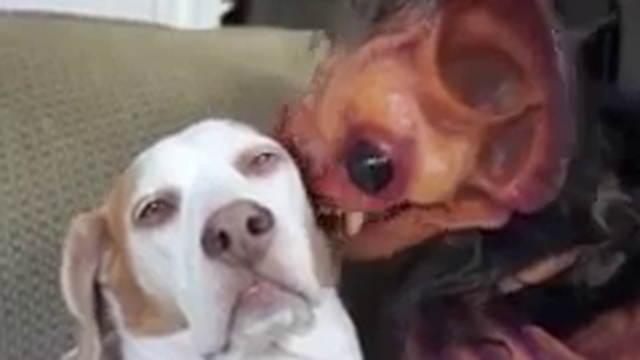 Д - Дружба смотреть онлайн