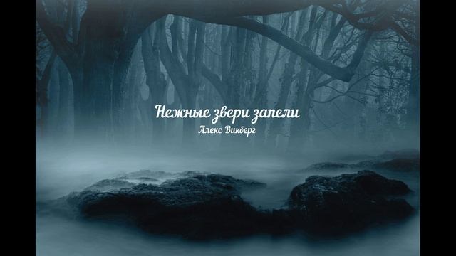 Нежные звери.mp4