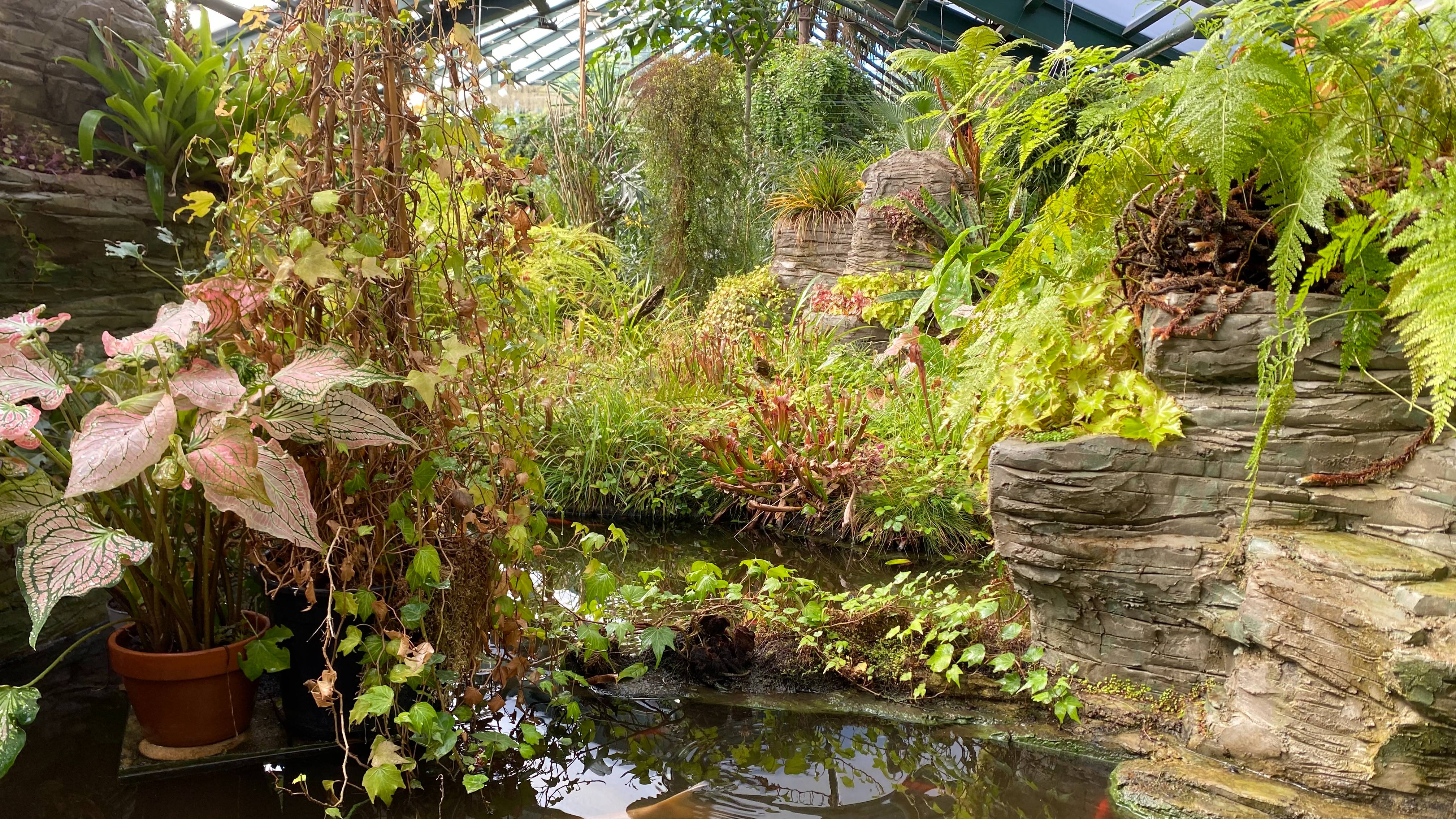 Парк ﹤﹤Аптекарский огород﹥﹥ (Август 2024)