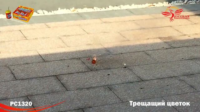 РС1320 Петарда "Трещащий цветок" 1/72/3 смотреть онлайн