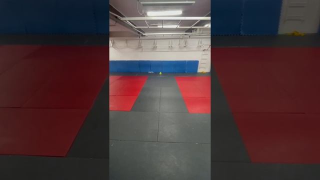 Как разнообразить акробатику в дзюдо старшие дошкольники и младшие школьники тренировка дзюдоистов смотреть онлайн