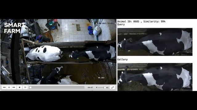 SMART FARM-ИДЕНТИФИКАЦИЯ: процесс определения ID животного на молочной ферме смотреть онлайн