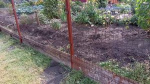 Будни в деревне. Хроника событий дня.