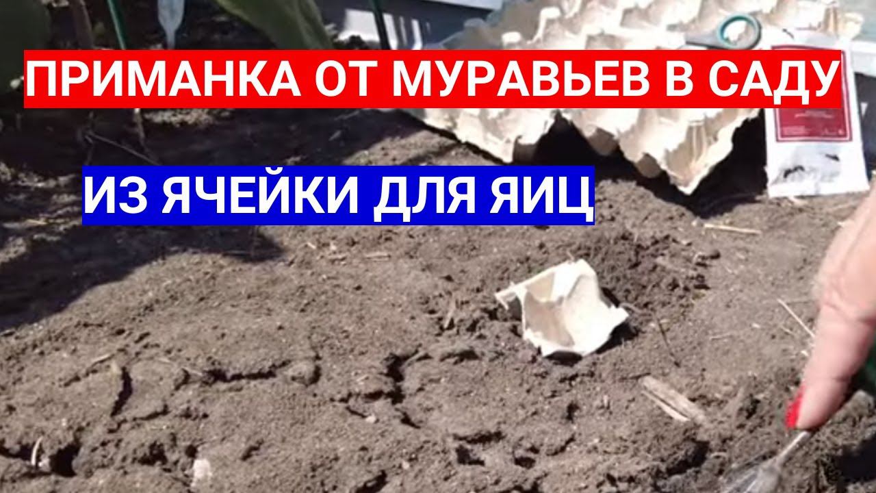 Садовый Мир