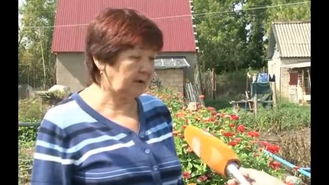 Дача раздора смотреть онлайн