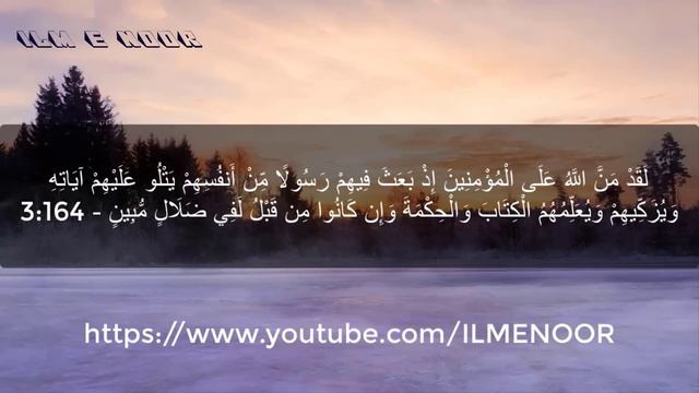 Para 4 Lantranalu || Holy Quran chapter 4 Lan Tana Loo смотреть онлайн