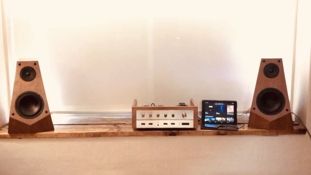 The Fisher X100-A - Sony SS-M3 смотреть онлайн