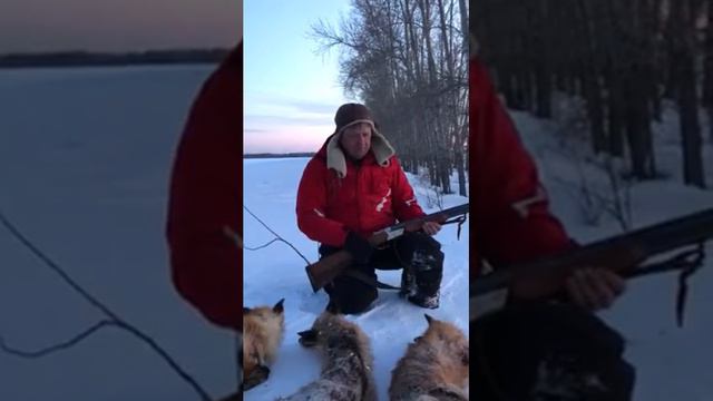 Охота на лис