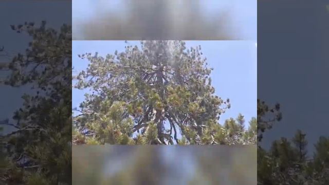 Горная дорога в Троодос смотреть онлайн