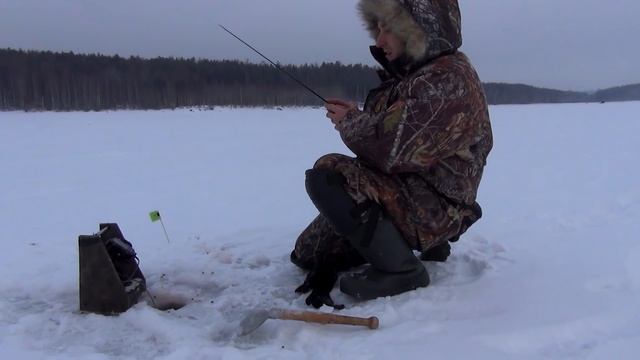 Ловля на безмотылку "Супер-мормыш", прикорм с руки и мои проводки приманки. смотреть онлайн
