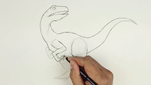How To Draw Velociraptor | Sketch Saturday смотреть онлайн