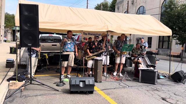 Sample of the Halupki Polka by the Shenandoah All Star Polka Band смотреть онлайн