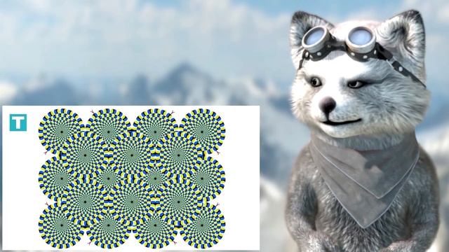 #REACT - 19 ILUSÕES DE ÓTICA QUE VÃO EXPLODIR SUAS CABEÇAS �Tou Ligado� смотреть онлайн