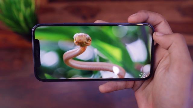 iPhone 12 смотреть онлайн