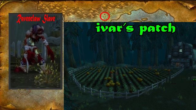Classic WoW Mage AoE Leveling Guide: 14-16 - Silverpine Forest (HORDE)