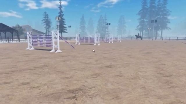 Train ONE OF my students with ME! || Maple Springs Eventing || Realistic RP|| Feat. @EquineRulers смотреть онлайн