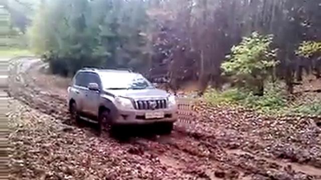Поехали за лосем смотреть онлайн