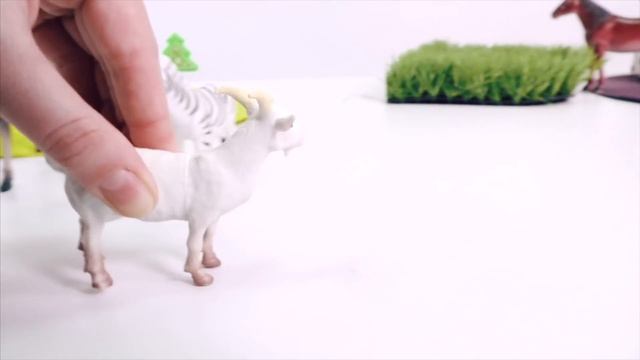 Домашние и дикие животные. смотреть онлайн