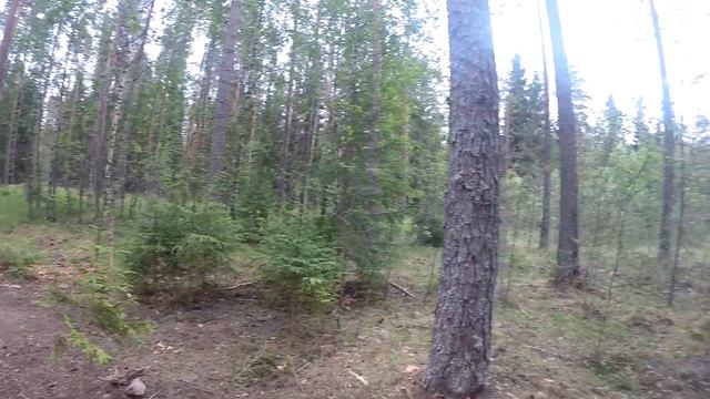 ? Установка большого аккумулятора для фотоловушки. 2 июля 2018 смотреть онлайн