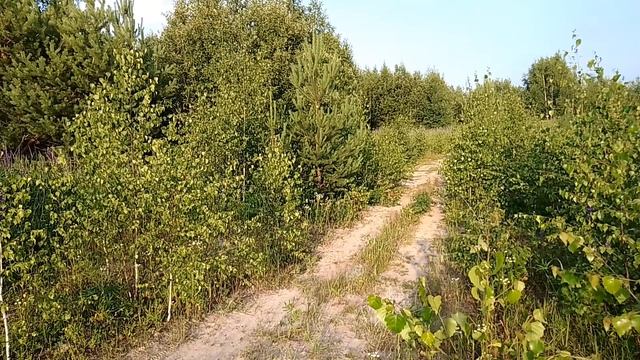 Вечером за городом. ч.3. Июль 2023 смотреть онлайн