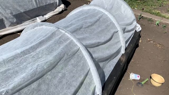 # 19 КУПИЛА ЗАБРОШЕННУЮ ДАЧУ/ШТОРМ УНИЧТОЖИЛ МОИ ПОСАДКИ/ПРИЕХАВ НА ДАЧУ Я УВИДЕЛА УЖАСНОЕ…/ смотреть онлайн