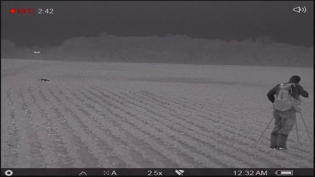 Pulsar Helion 2 XP50 And A Fox