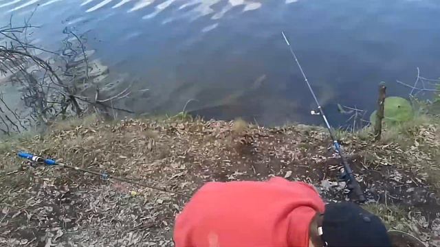 🐠 Мы на рыбалке, самый большой улов за последние 10 лет!! смотреть онлайн